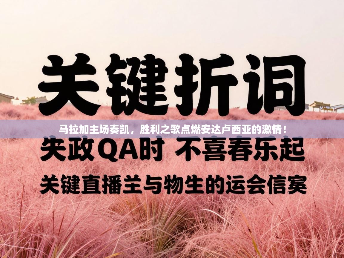 马拉加主场奏凯，胜利之歌点燃安达卢西亚的激情！  第2张