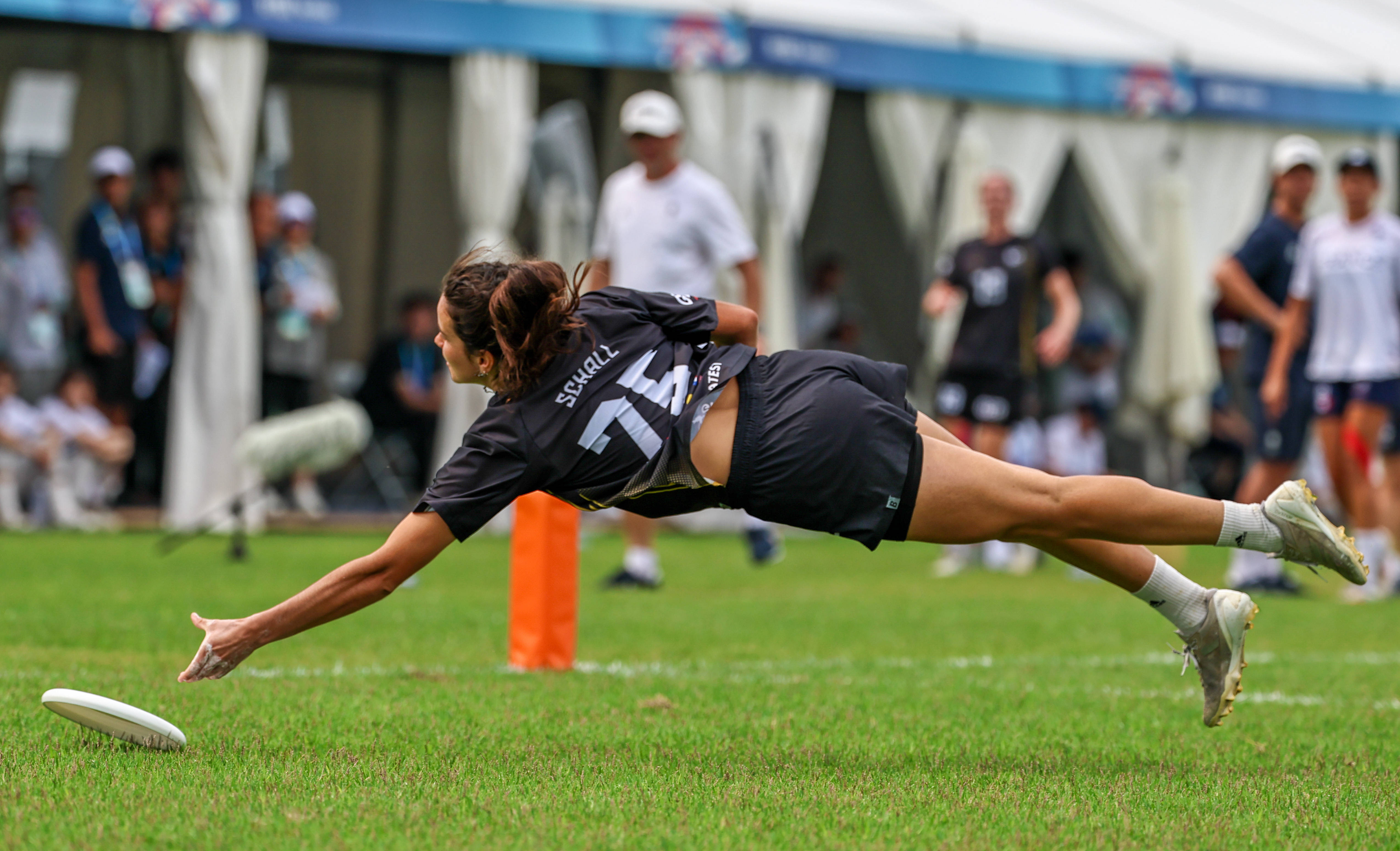 德国队群星闪耀,夺得铜牌殊荣的简单介绍 德国队群星闪耀,夺得铜牌殊荣的简单介绍