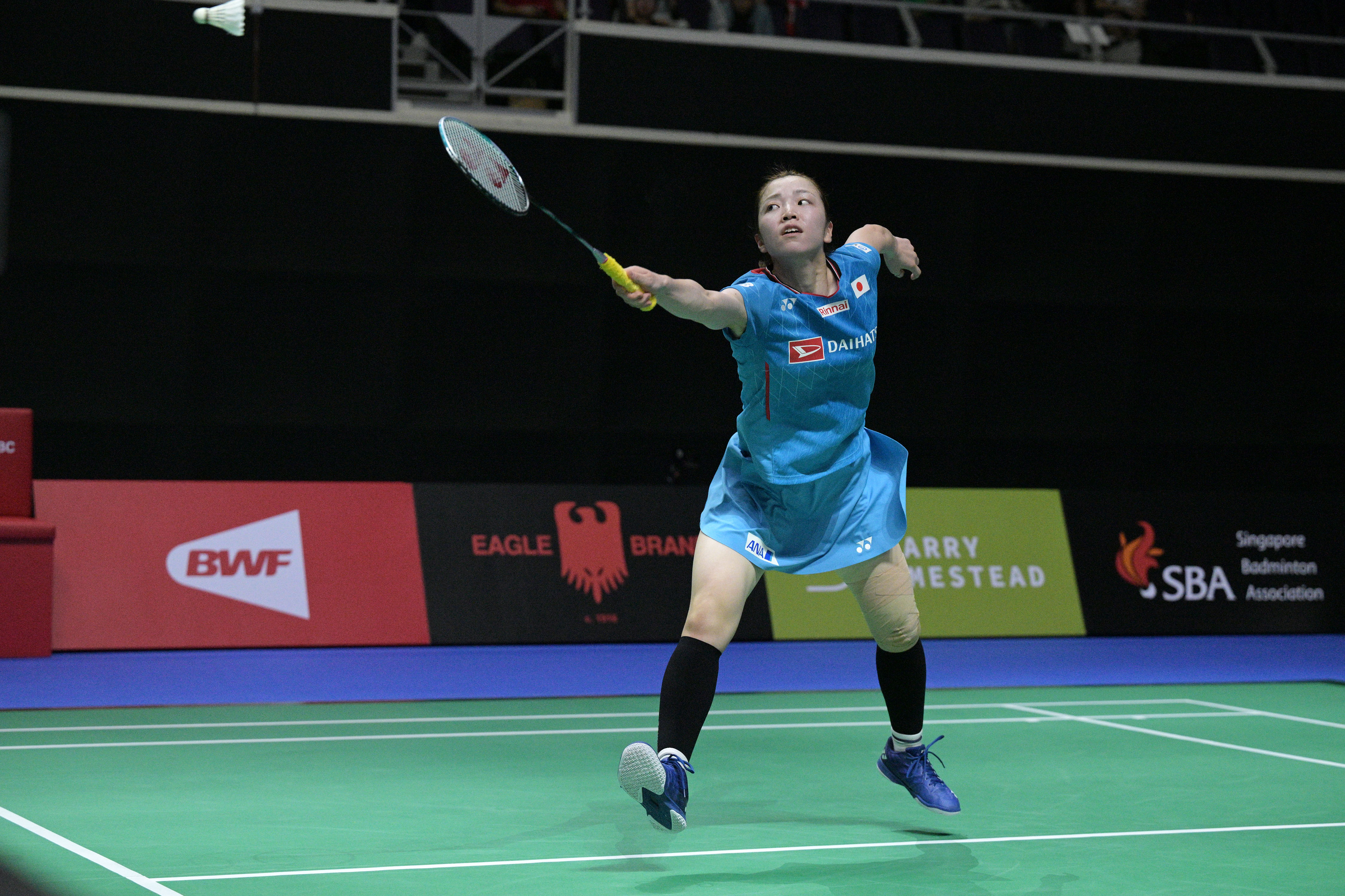 关于韩国女子羽毛球选手赛场上演完美表现，称霸羽坛的信息