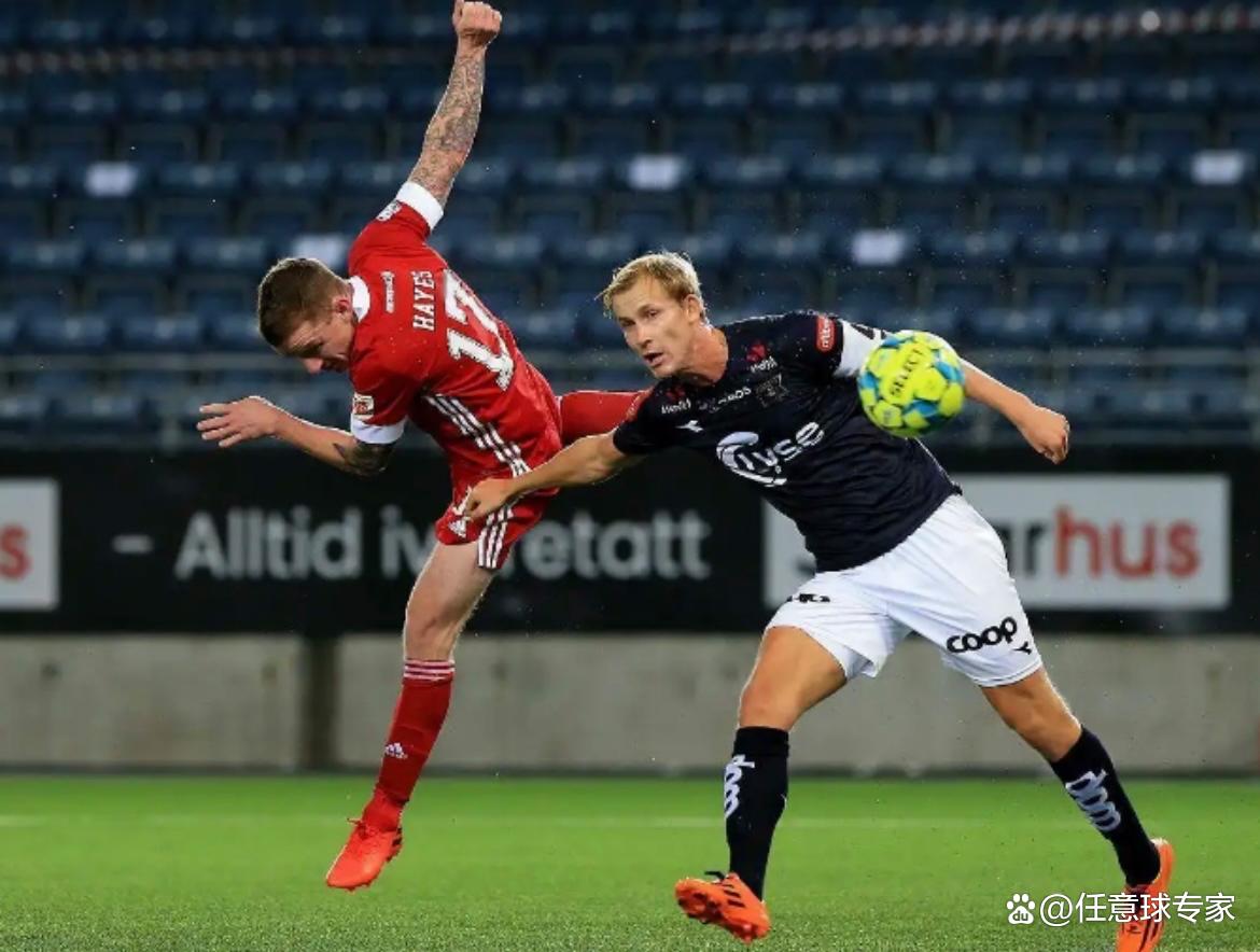 包含比利时-击败挪威，焕发极佳状态的词条